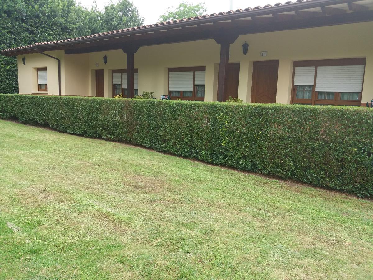 Apartamentos El Cazador San Vicente de Toranzo Exteriér fotografie